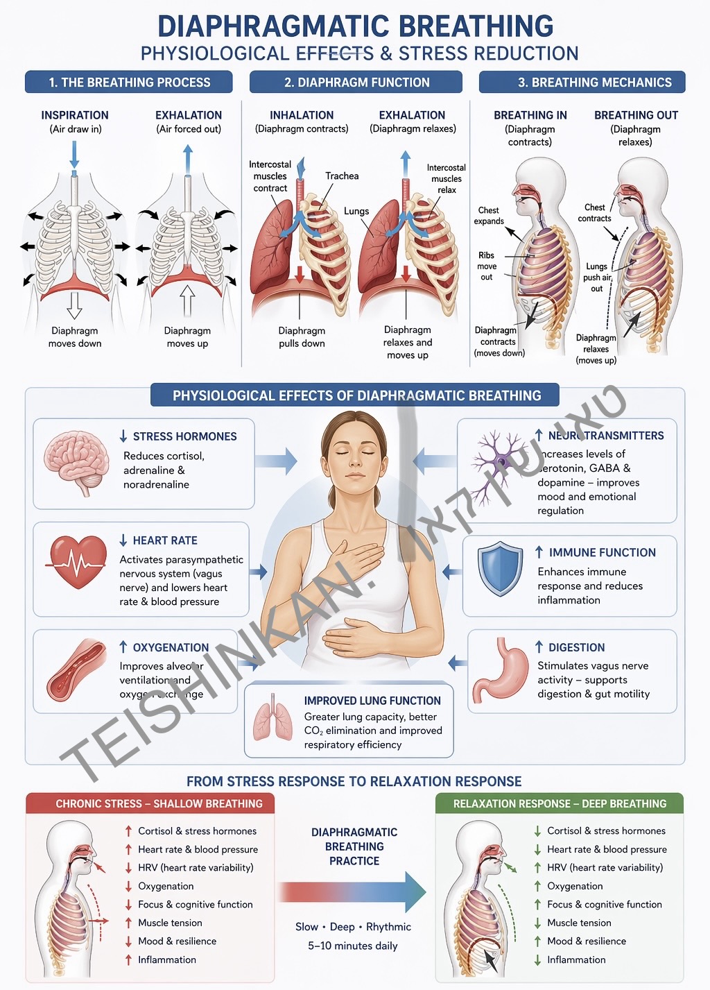 מנגנונים פיזיולוגיים, הפחתת מתחים, ויישום העצמה תפקודית בסביבות עבודה עתירות עומס